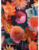 Kvetinová bunda (počes)